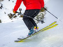 Nordica Ski