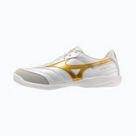 Hallenschuhe von Mizuno