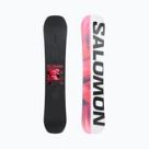 Schneebretter Salomon