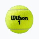 Tennisbälle
