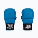 Karate Handschuhe