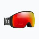 Ski Schutzbrille für Erwachsene