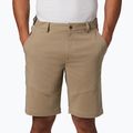 Columbia Tech Trail 221 Herren-Trekking-Shorts beige 1883371 3