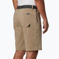 Columbia Tech Trail 221 Herren-Trekking-Shorts beige 1883371 4