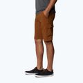 Columbia Silver Ridge II Cargo 235 braun Herren-Trekking-Shorts 1794921 3