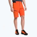 Herren Salewa Pedroc Cargo 2 Wandershorts orange 26934