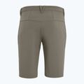Salewa Herren Wandershorts Talveno DST braun 00-0000027064 5
