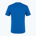 Herren-Trekking-T-Shirt Salewa Alpine Hemp Logo blau 00-0000028132 5