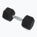 Kurzhanteln XTREXO Hex HXD100 10 kg