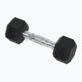 Kurzhanteln XTREXO Hex HXD25 2.5 kg