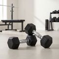 Kurzhanteln XTREXO Hex HXD25 2.5 kg 3
