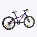 Kinderfahrrad Kellys Lumi 3 2" violett 7239 3