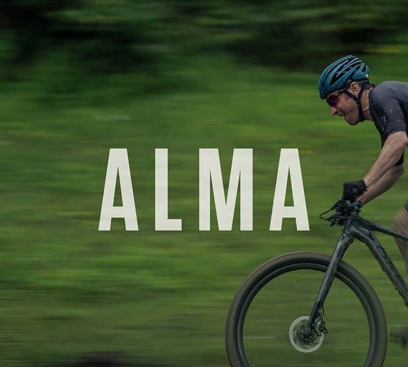 Orbea Alma H50 Mountainbike schwarz 17